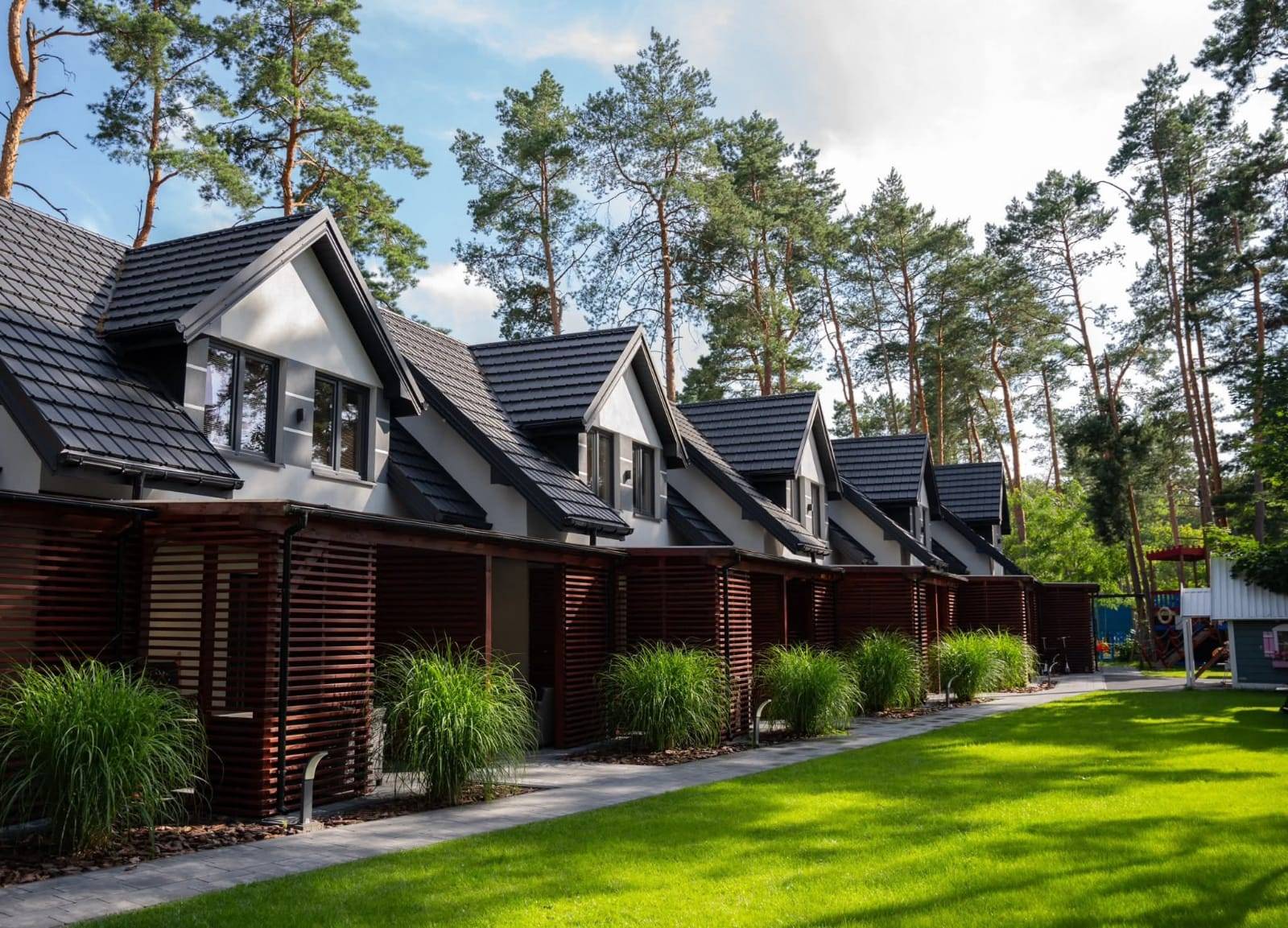 Oczko wodne z kamieniem